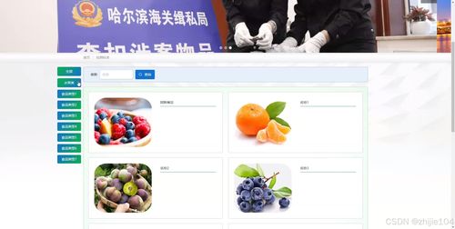 基于django vue vue哈尔滨海关进出口食品安全信息管理系统 计算机毕设