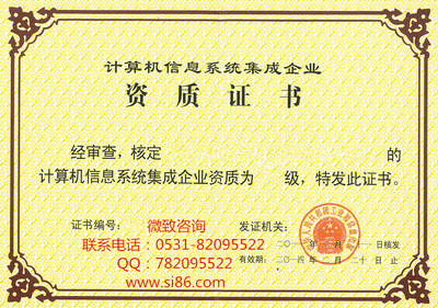 计算机信息系统集成资质评定中的“纯软件”与“信息技术服务”解析